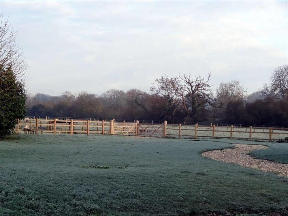 Bed and Breakfast Huxham Farmhouse East Pennard Exterior foto